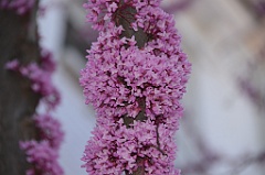 Spring13 (73)